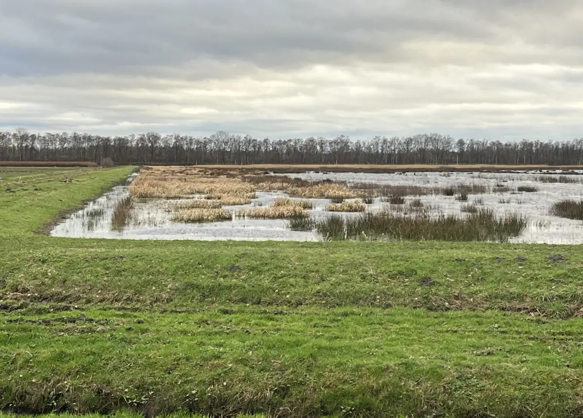 Natuurbescherming