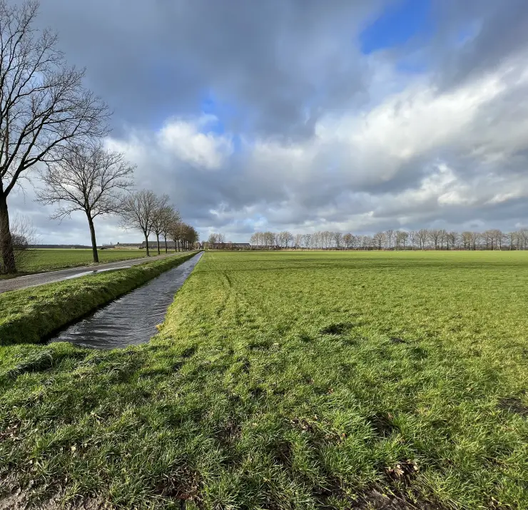 Foto Dorperpeel